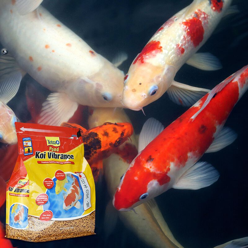 TetraPond Alimento Koi Vibrance Premium Aliment... image number null