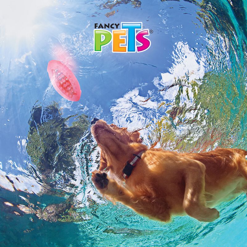 Fancy Pets Juguete Chew Bal&oacute;n de Americano Mast... image number null