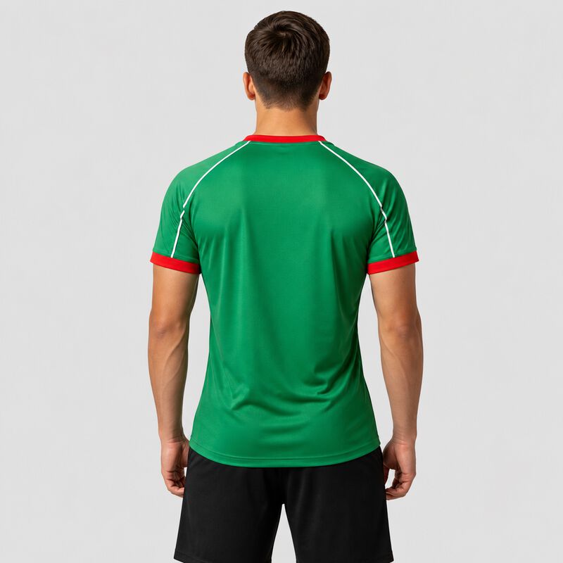 Playera Selecci&oacute;n Mexicana Estampada Cuello V H... image number null