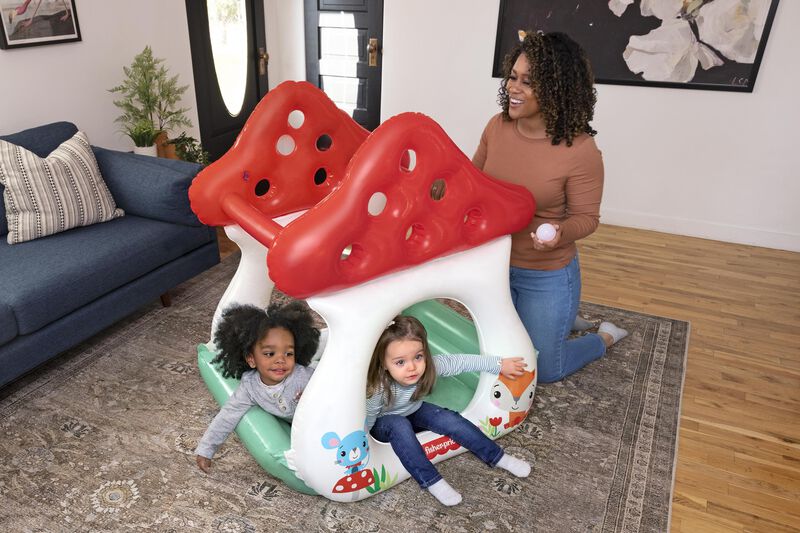 &nbsp;Centro de juegos Fisher Price pozo de pelotas ... image number null