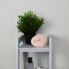 Shnuggle Cepillo De Baño Rosa