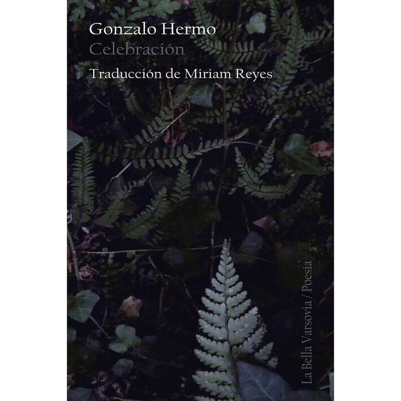 Celebraci&oacute;n image number null