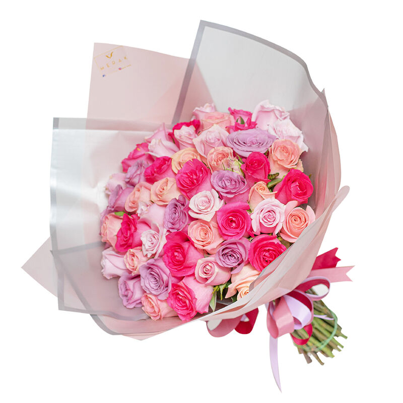 Princesa Rosa image number null