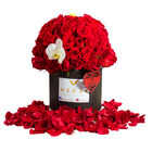 Caja 100 Rosas con Orqu&iacute;dea