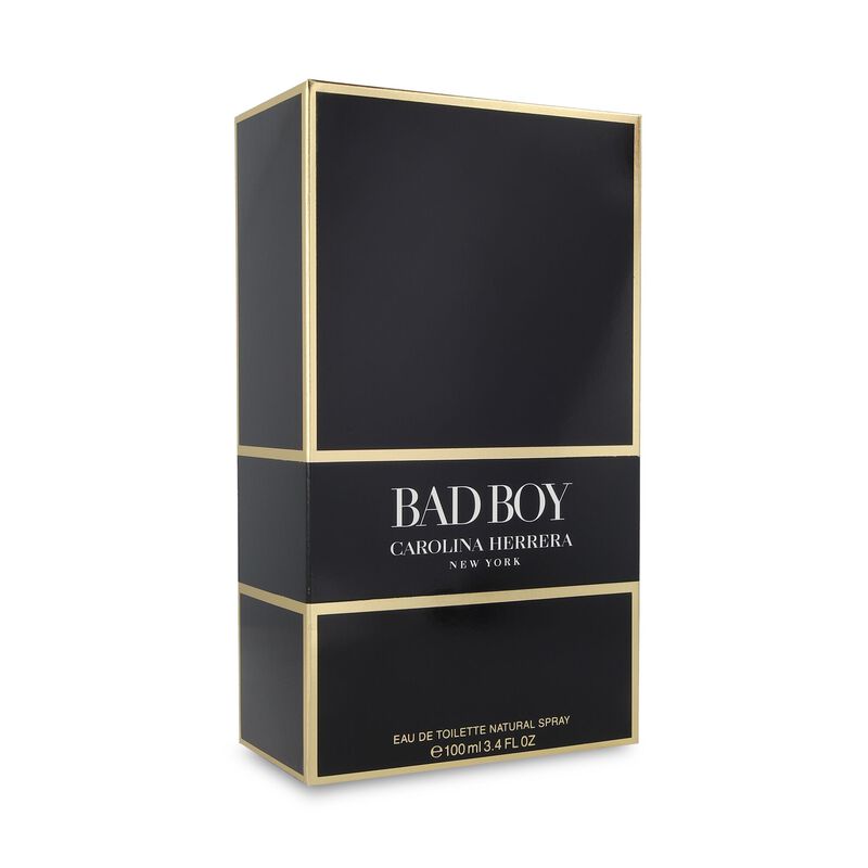 Bad Boy 100Ml Edt Spray image number null