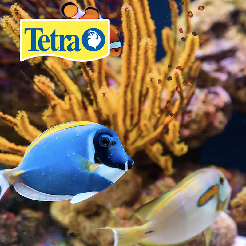 Tetra Alimento Tetramin Tropical Flakes para Pe... image number null