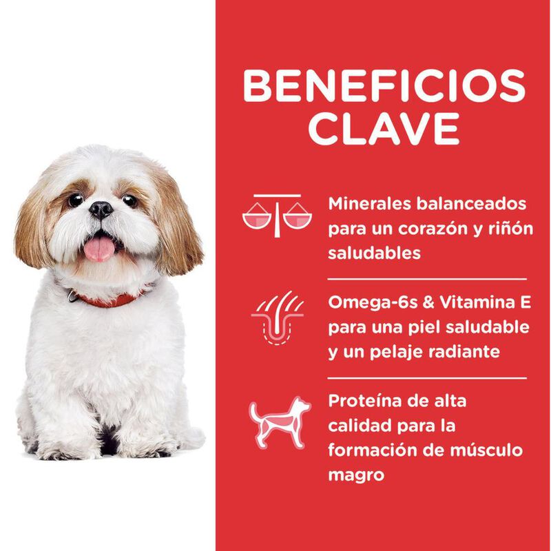 Hill's Canino Adult 2 Kg 4 Unid X Caja mas Pelo... image number null