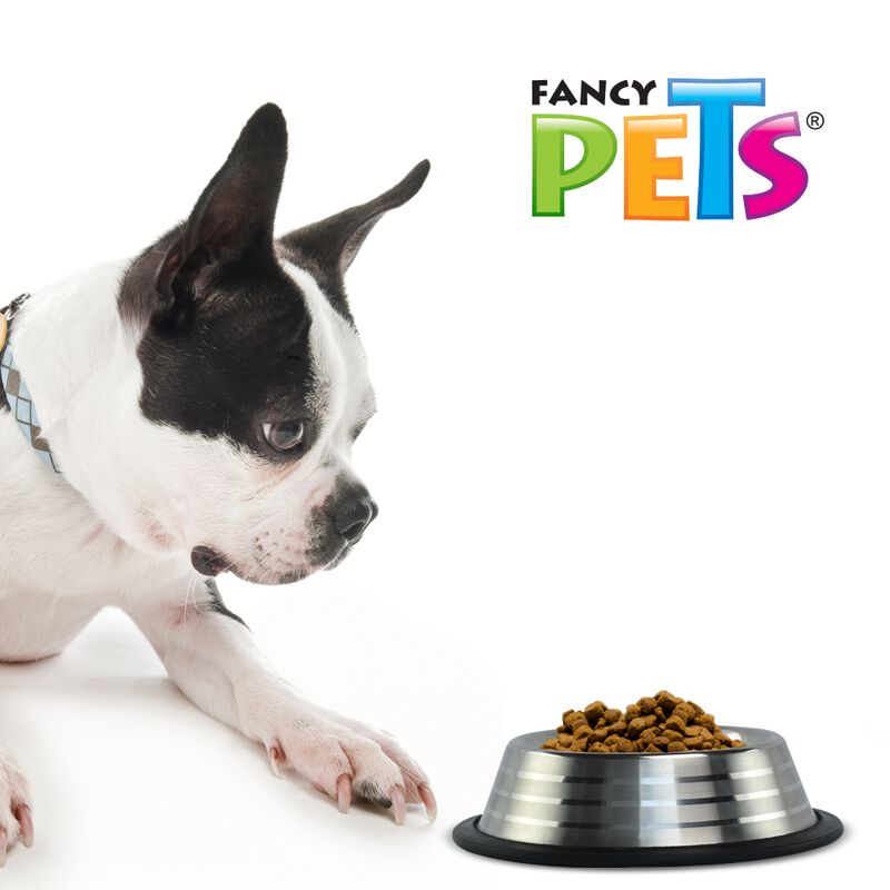 Fancy Pets Plato Estriado De Acero Inoxidable P... image number null