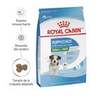 Royal Canin Small Puppy 1.14 Kg Original Sellado mas Pelota Spiny Caucho