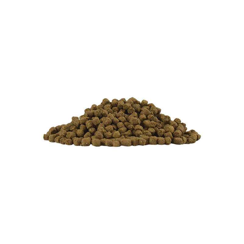 Redkite Alimento para Erizos Select 800g image number null
