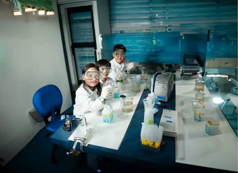 Entrada Adulto Monterrey image number null