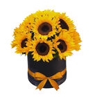 Caja con 15 Girasoles