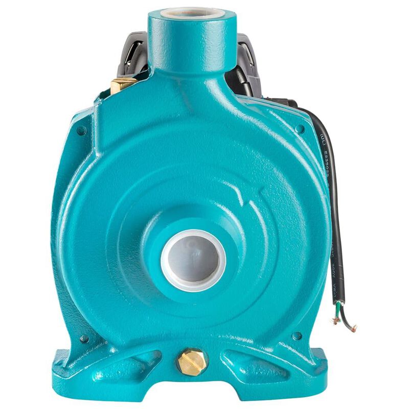 Bomba Centr&iacute;fuga de Hierro Fundido, IUSA 2 HP image number null