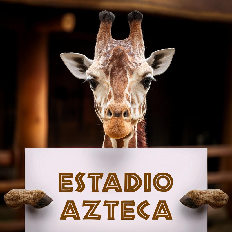 Bioparque + Transporte Incluido CDMX Estadio Az... image number null