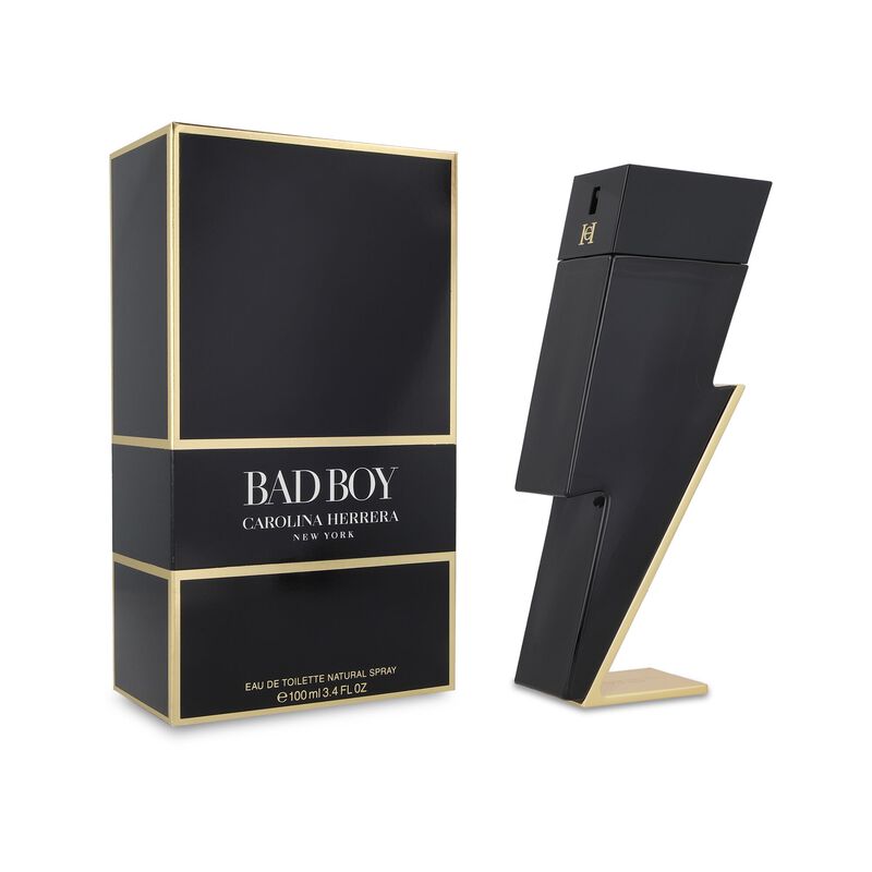 Bad Boy 100Ml Edt Spray image number null