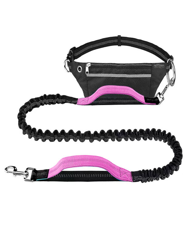 Doggy Go image number null