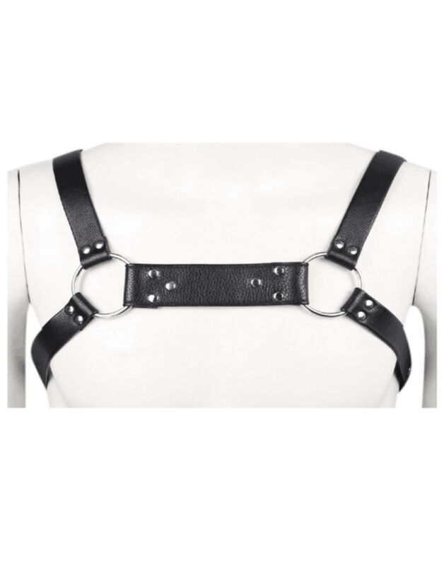 Discipline X Harness image number null