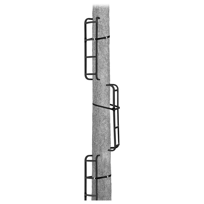 Rieles de Aluminio Primal image number null