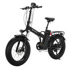 Bicicleta eléctrica LMR-027