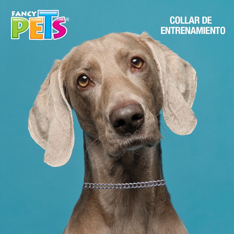 Fancy Pets Collar De Entrenamiento Para Perro D... image number null
