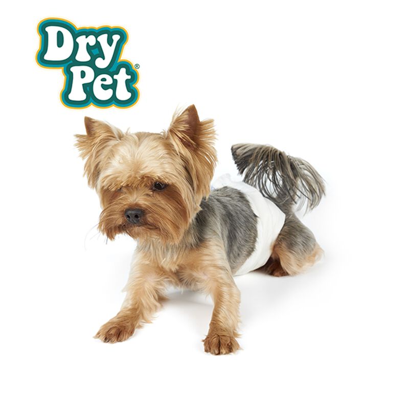 Fancy Pets Pañales Tamaño Grande Para Perro  12... image number null