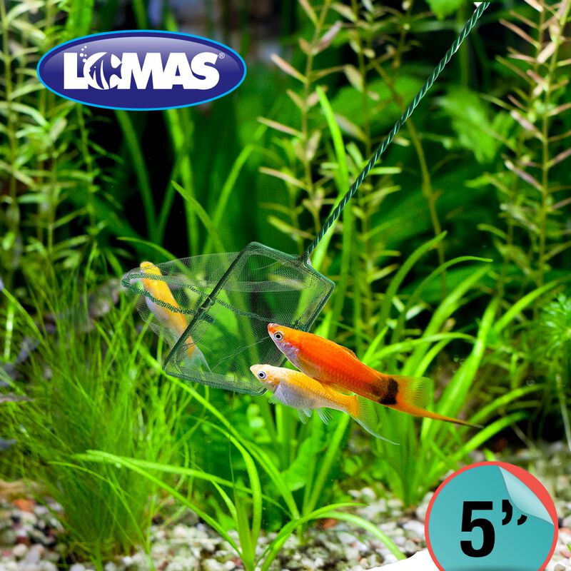 Lomas Red De Malla Gruesa Para Acuarios Y/o Pec... image number null