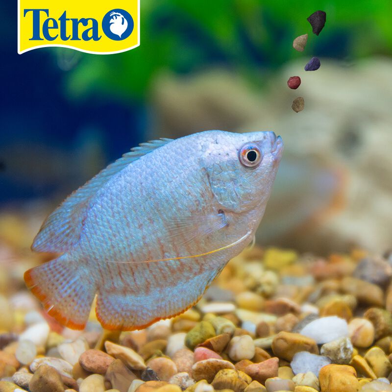 Tetramin Alimento Tropical Gr&aacute;nulado para Peces... image number null