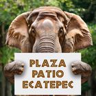 Bioparque + Transporte Incluido EDOMEX Plaza Patrio Ecatepec, domingo 21 de diciembre.