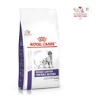 Royal Canin Canine Adult 4 Kg Original Sellado