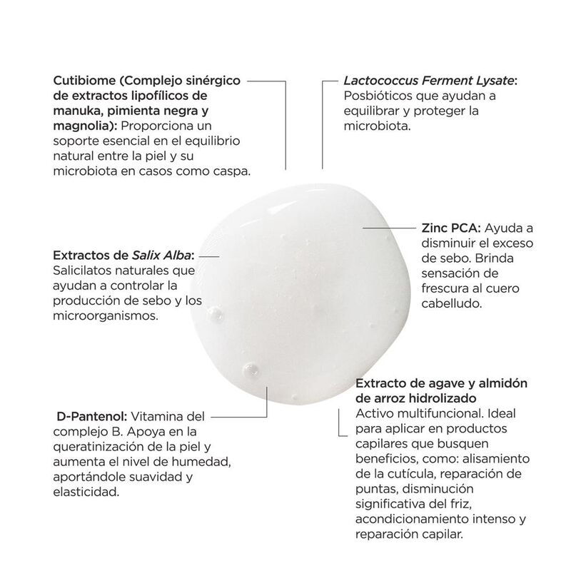 R&Ecirc;VE Capilarium Bio Shampoo 200 ml image number null