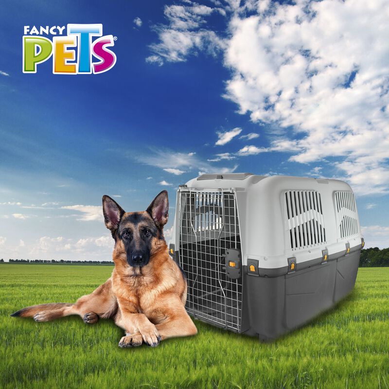 Mps Transportadora Skudo Iata 7 Para Perro O Ga... image number null