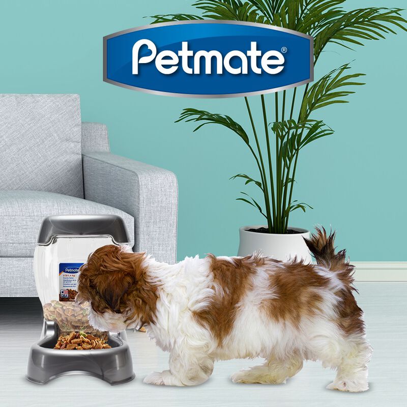 Petmate Dispensador de Croquetas para Perro y/o... image number null