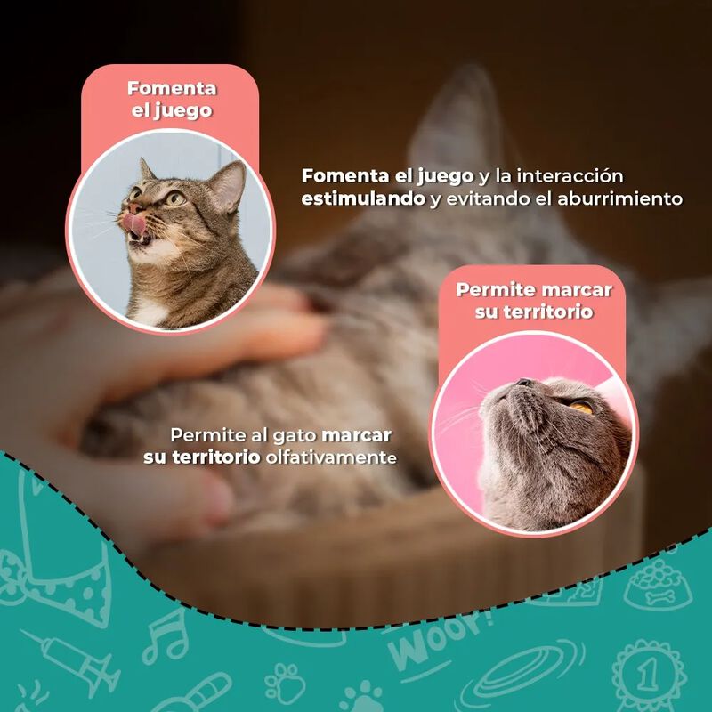 FANCY PETS. Rascador para Gato Recto 43cm. Resi... image number null