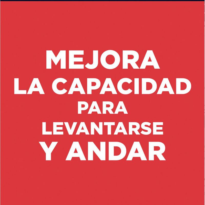 Hill's Canino Adult 2 Kg Original Sellado image number null