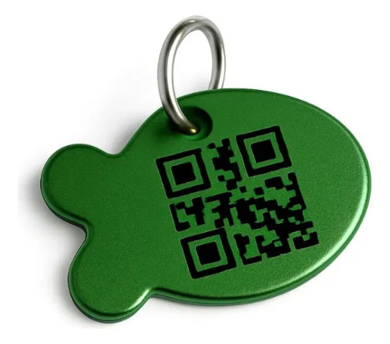 Placa Mascota Qriosa Pez Verde image number null