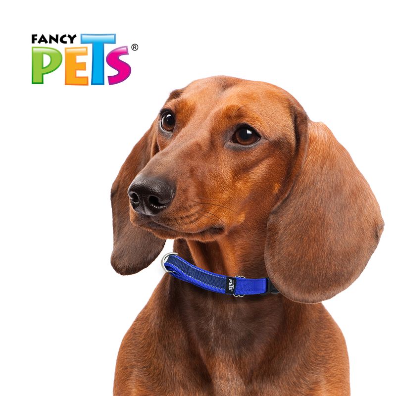 Fancy Pets Collar Con Ultra Grip Y Bandas Refle... image number null