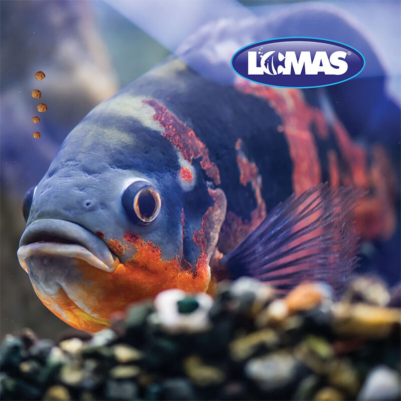 Lomas Alimento para Ciclidos Medianos Contiene ... image number null