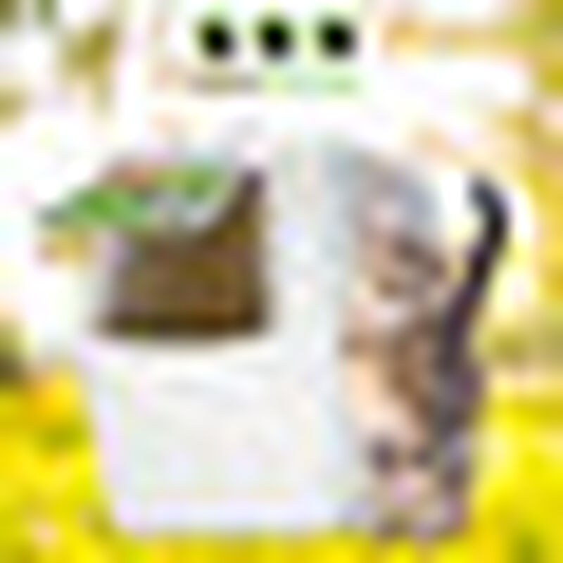 Vanness Arenero Grande Cubierto para Gato Tama&ntilde;... image number null