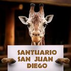 Bioparque + Transporte Incluido CDMX Santuario ... Bioparque + Transporte Incluido CDMX Santuario San Juan Diego, sábado 1 de noviembre.
