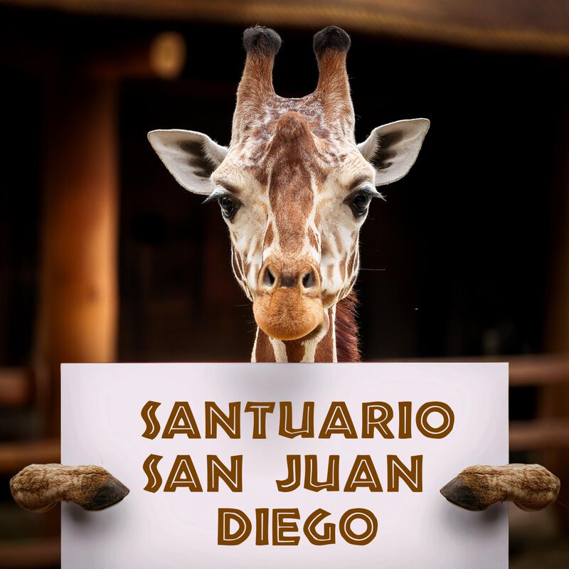 Bioparque + Transporte Incluido CDMX Santuario ... image number null