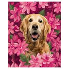 Cuadro Decorativo Impreso 20x30cm Golden Retriever
