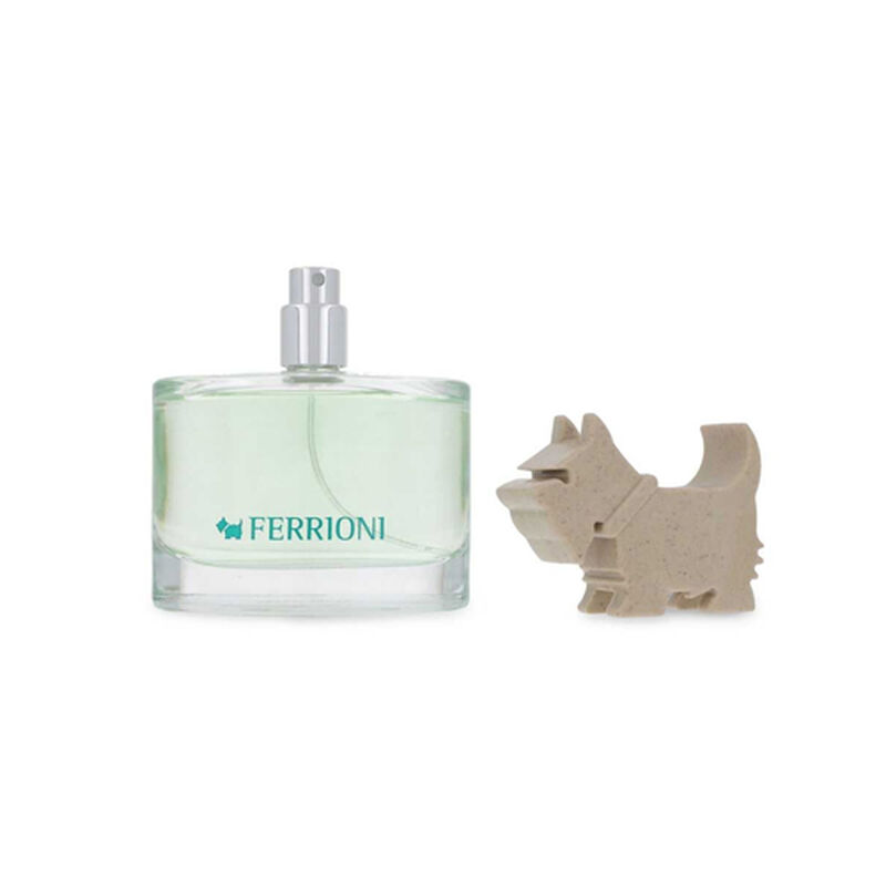 Ferrioni  Green For Her  Edt 100ml Dama image number null