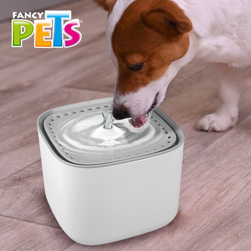 Fancy Pets. Bebedero Autom&aacute;tico para Perros y G... image number null