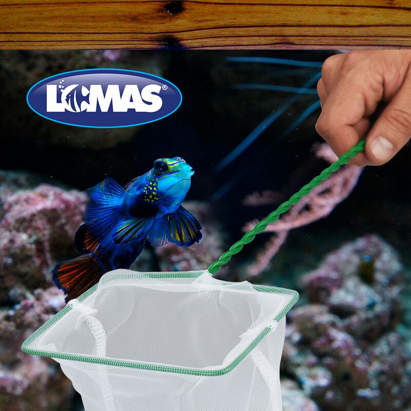 Lomas Red De Malla Fina 5 De 13 Cent&iacute;metros Par... image number null