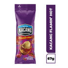 KACANG FLAMIN HOT 67GR