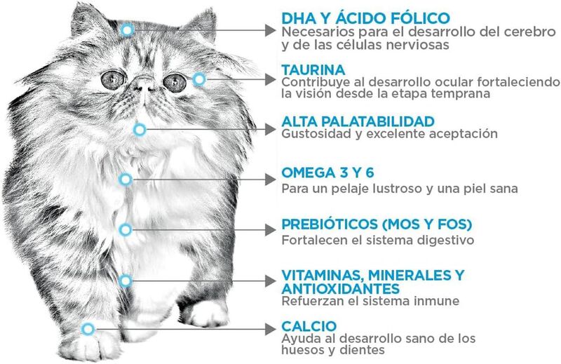 Nupec Felino Kitten 3 kg image number null