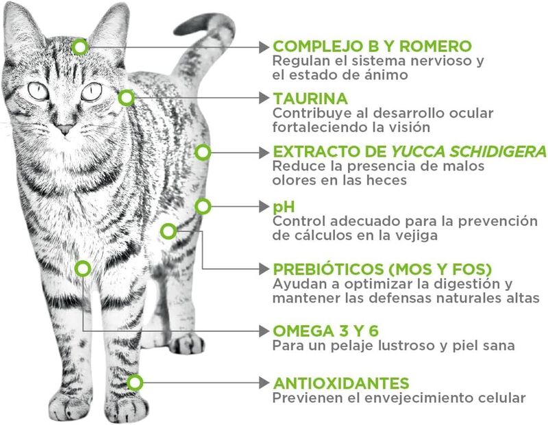 Nupec Gato Adulto Indoor 5 kg image number null