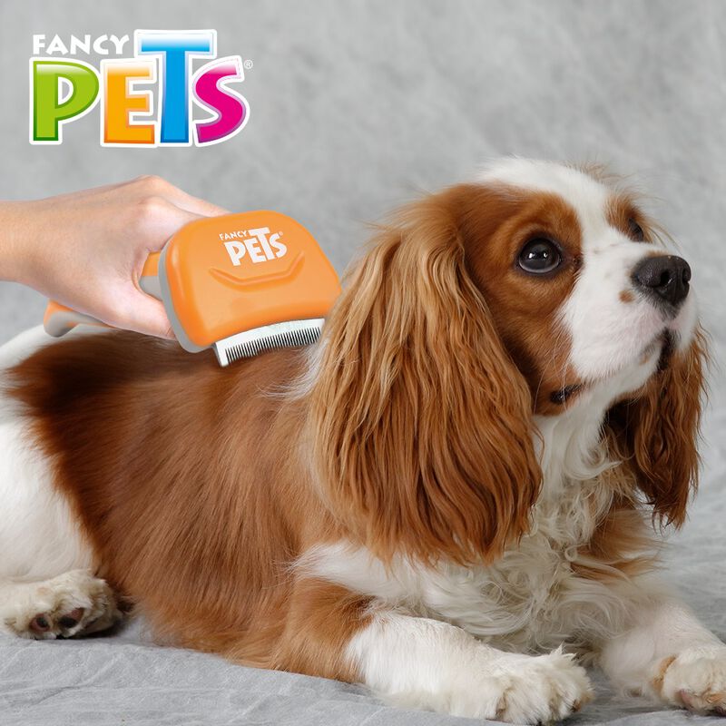 Fancy Pets. Deslanador para Perro Curvo Chico image number null