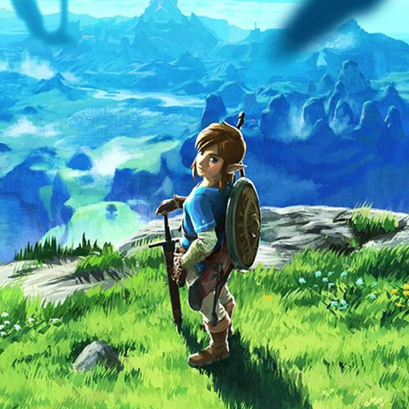 The Legend Of Zelda Breath Of The Wild image number null