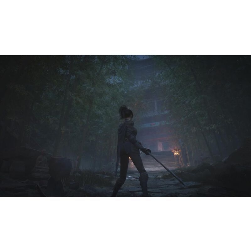 WUCHANG: Fallen Feathers (PlayStation 5) image number null